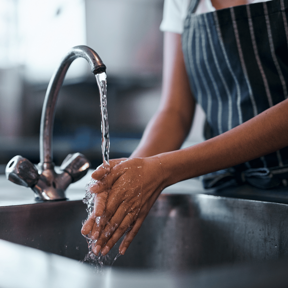 Formation spécifique en matière d’hygiène alimentaire adaptée à l’activité des établissements de restauration commerciale 2