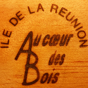 logo AU COEUR DES BOIS